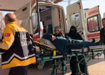 Tavukta Gıda Güvenliği Riski: Tüketiciler Nasıl Korunmalı?