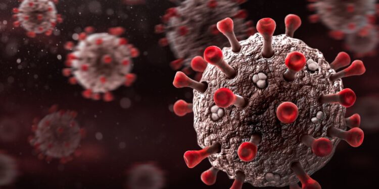 İngiltere’de yeni Maymun çiçeği varyantı: Aşılar ve Tedavi