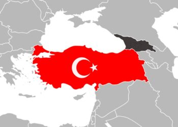 Türk Vatandaşlarına Sigorta Şartı Geldi: Gürcistan’a Gitmeden Önce Bunları Yapın