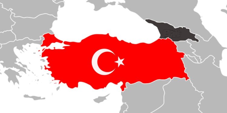 Türk Vatandaşlarına Sigorta Şartı Geldi: Gürcistan’a Gitmeden Önce Bunları Yapın