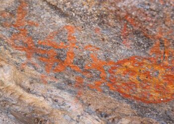 Neolitik kaya resimleri Kayseri’de Ortaya Çıktı: Vatandaş İhbarı