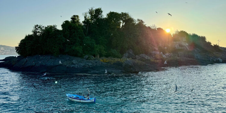 Giresun Adası Turizme Açılıyor Haberiyle Mitolojik Geçmiş Gün Yüzünde