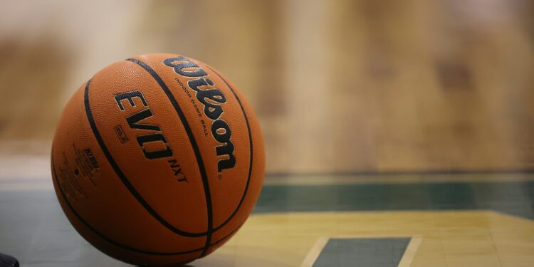 Parke zeminde duran Wilson marka turuncu basketbol topu ve gölgesi.