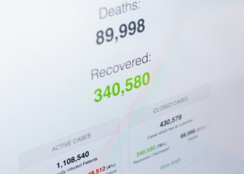 Deaths, recovered ve active cases istatistiklerinin yer aldığı web arayüzü.