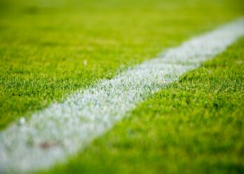 Yeşil çim saha üzerinde beyaz çizginin bulunduğu futbol sahası detay çekimi.